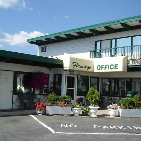 Flamingo Motel Penticton Exteriör bild