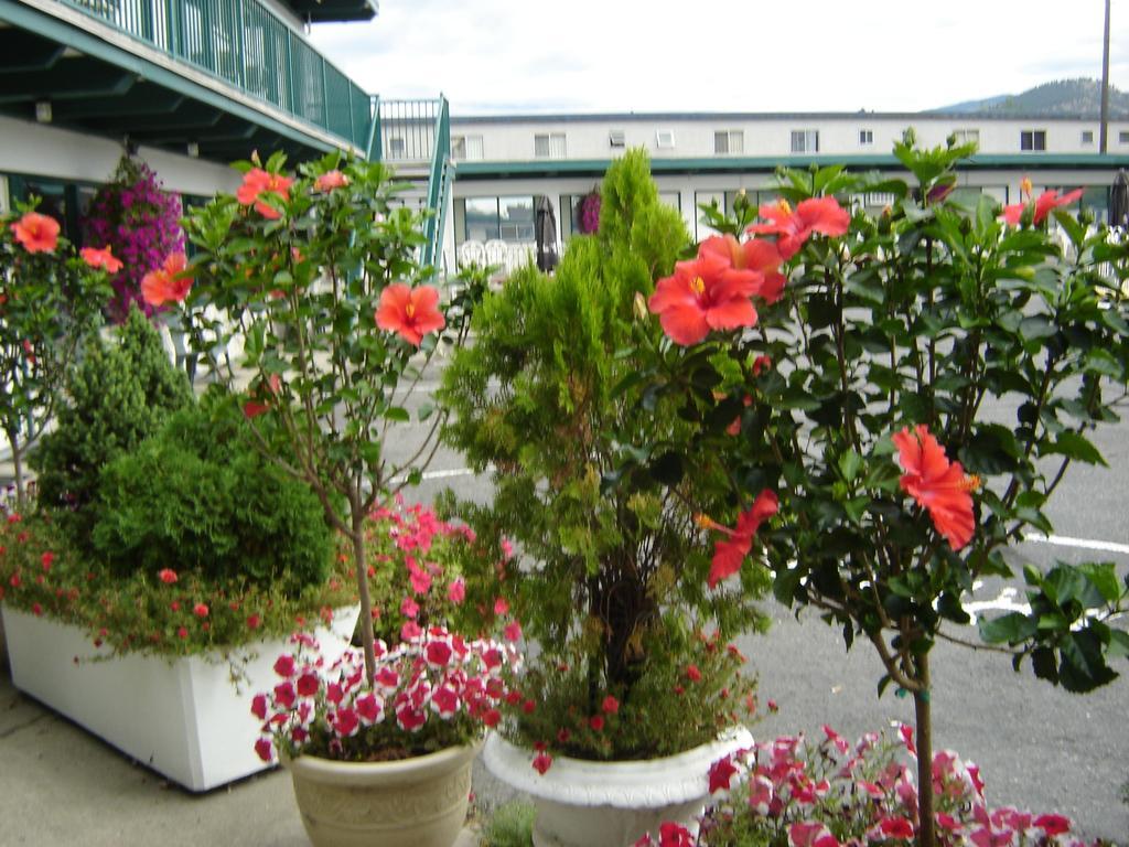 Flamingo Motel Penticton Exteriör bild